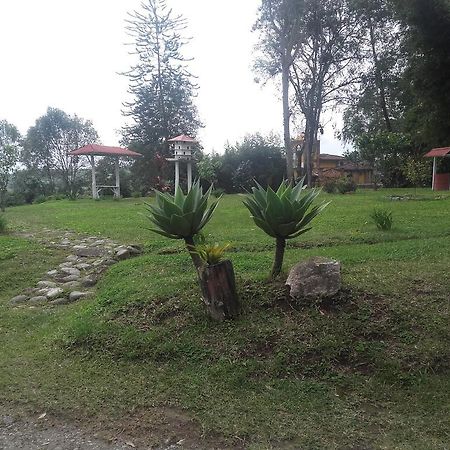 La Gaviota Bnb Bed & Breakfast ฟิลานเดีย ภายนอก รูปภาพ