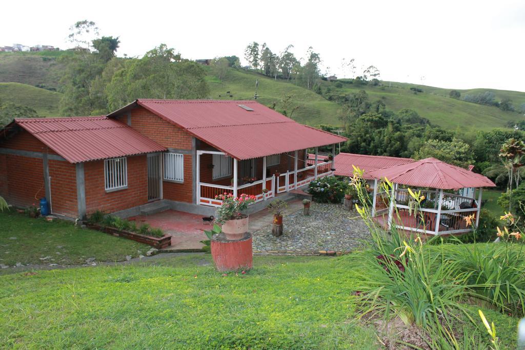 La Gaviota Bnb Bed & Breakfast ฟิลานเดีย ห้อง รูปภาพ