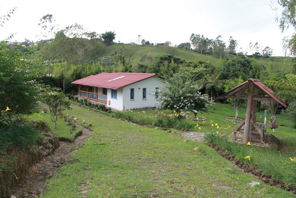 La Gaviota Bnb Bed & Breakfast ฟิลานเดีย ห้อง รูปภาพ
