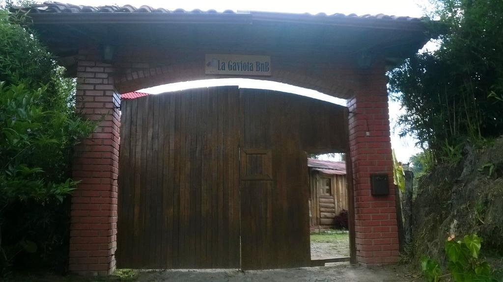 La Gaviota Bnb Bed & Breakfast ฟิลานเดีย ภายนอก รูปภาพ