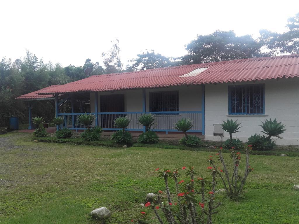 La Gaviota Bnb Bed & Breakfast ฟิลานเดีย ภายนอก รูปภาพ