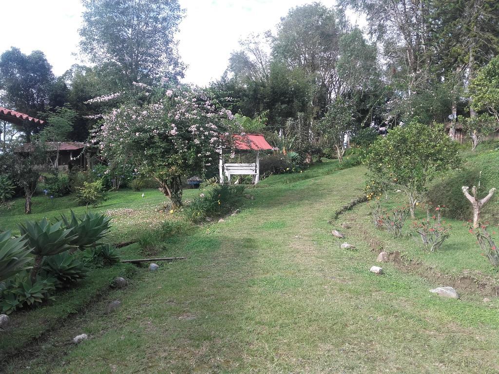 La Gaviota Bnb Bed & Breakfast ฟิลานเดีย ภายนอก รูปภาพ
